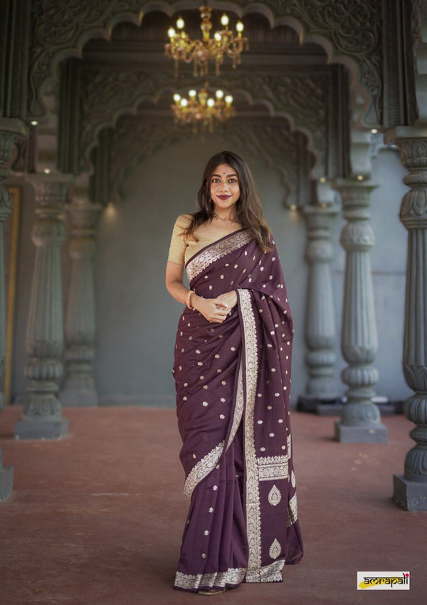 Rich Deep Brown Kasturi Fancy Saree