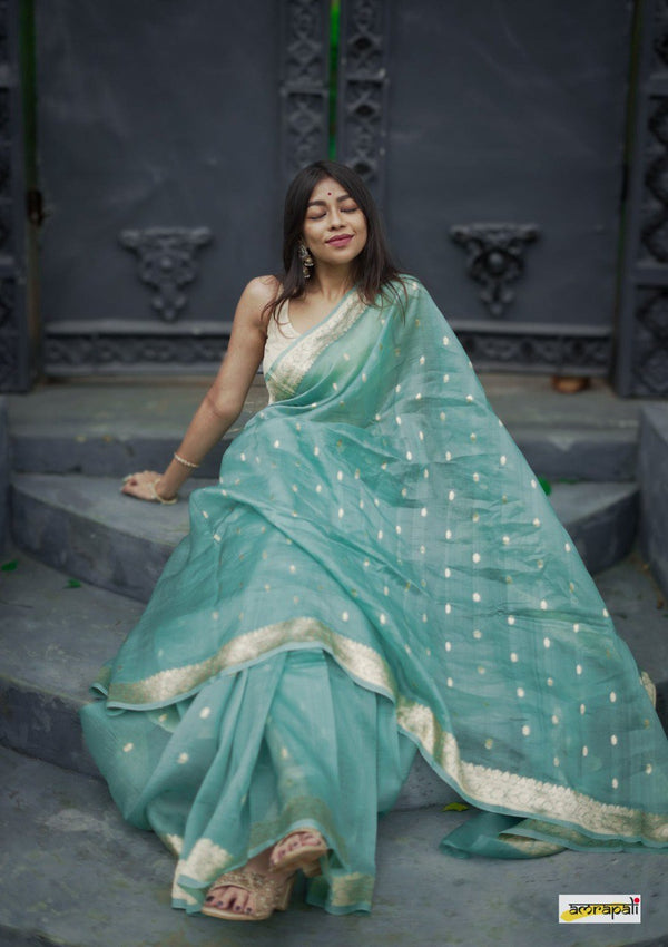 Pastel Blue Fancy Banarasi Silk Saree