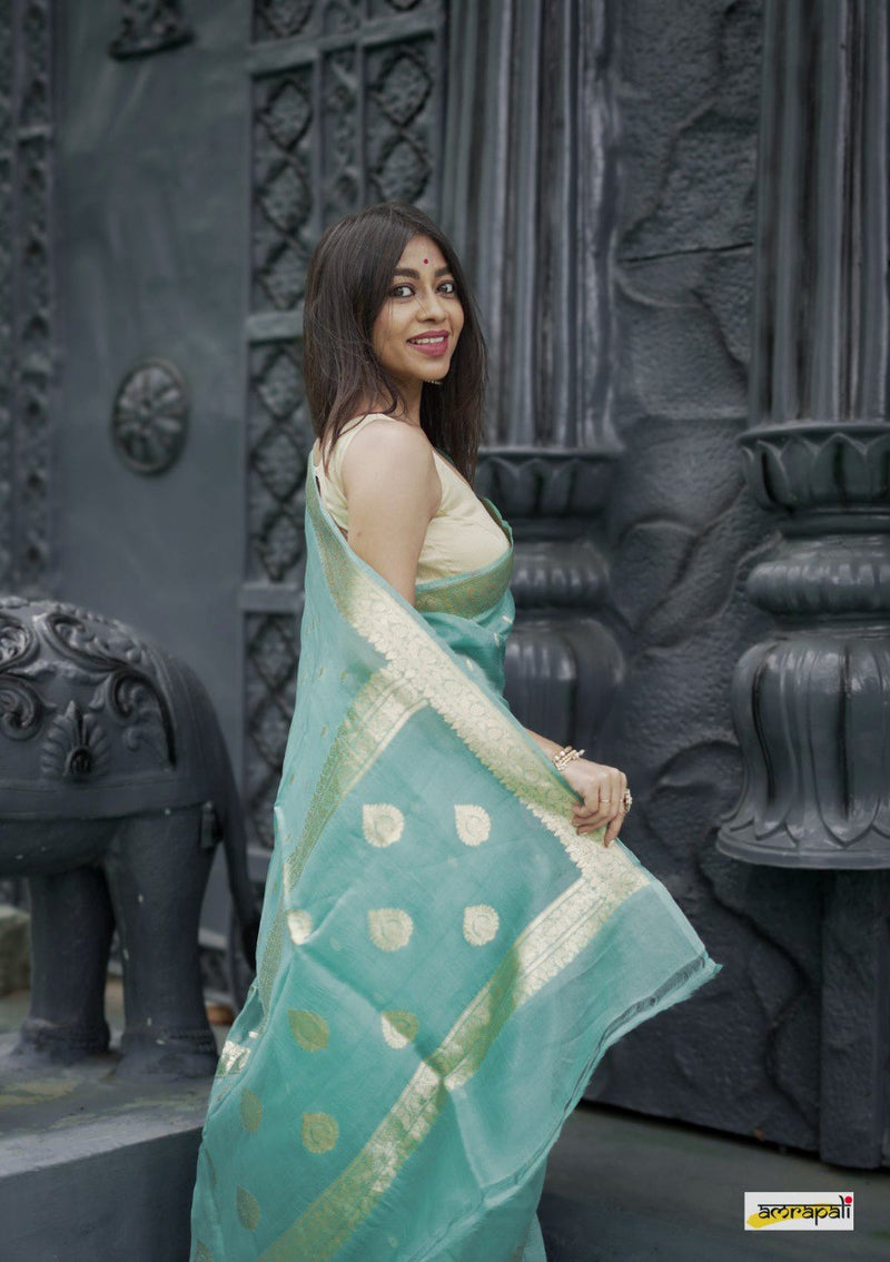 Pastel Blue Fancy Banarasi Silk Saree