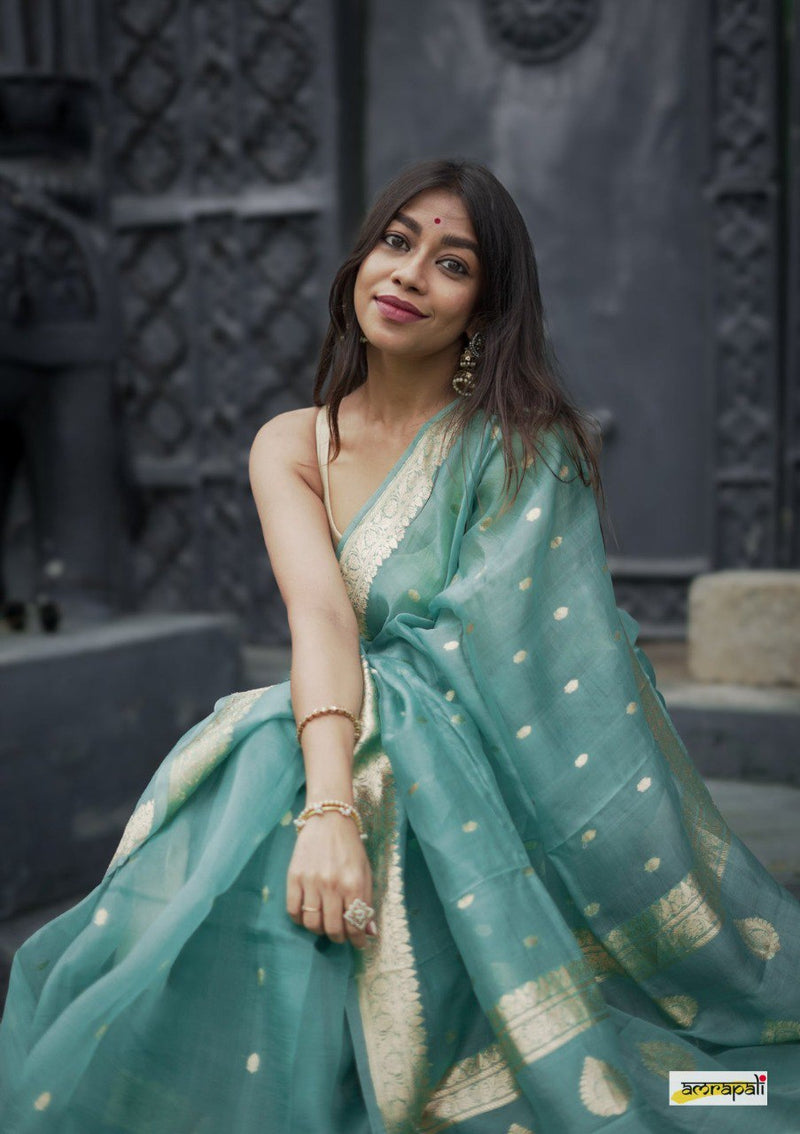 Pastel Blue Fancy Banarasi Silk Saree